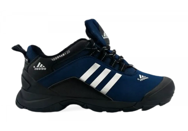 Кроссовки Adidas Terrex Climaproof Winter синие